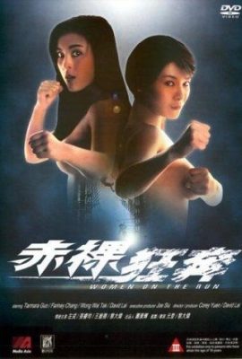 Poster phim Phận Nữ Long Đong – Women on the Run (1993)